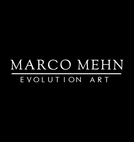 Künstler Marco Mehn Webdesign